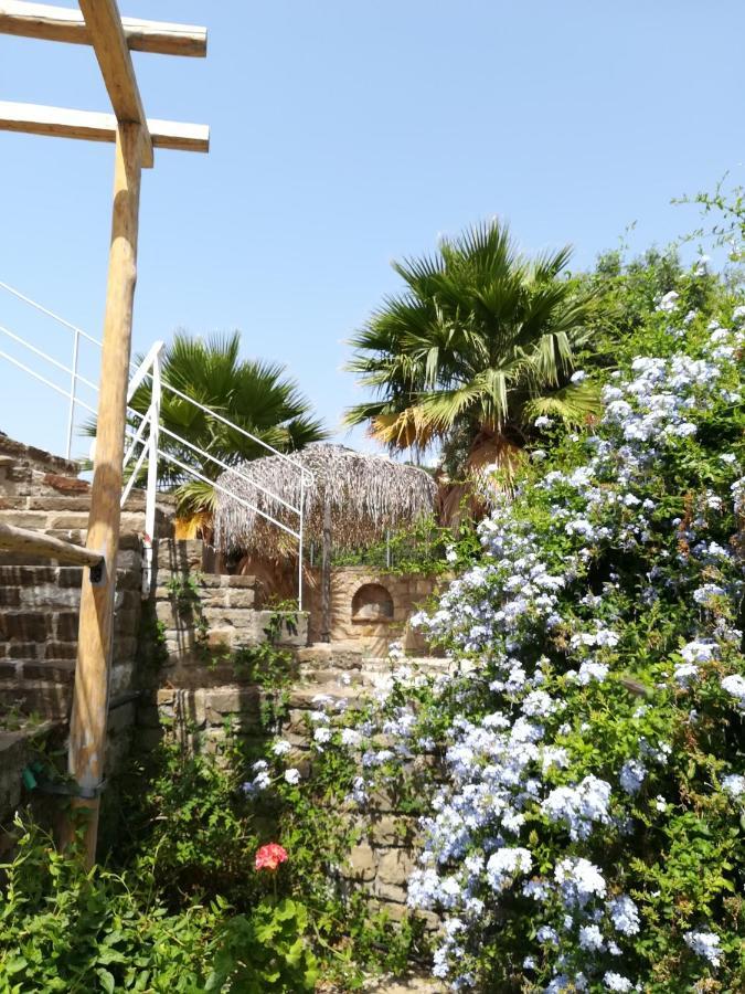 Lemon Tree Cottage Фінікунда Екстер'єр фото