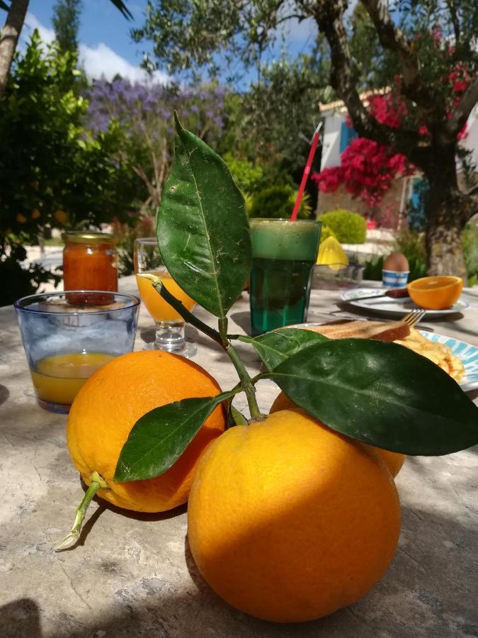 Lemon Tree Cottage Фінікунда Екстер'єр фото